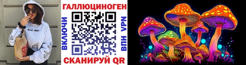 Псилоцибиновые грибы Cubensis  Юрга 